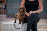 Retriever Lederleine grün