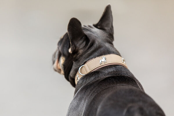Halsband Französische Bulldogge 45cm - 35mm elfenbein - silber