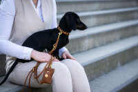 Hundehalsband Mini Dark Diamond