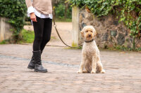 Umhängeleine rundgenäht