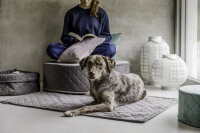 Hundedecke Caro Steingrau