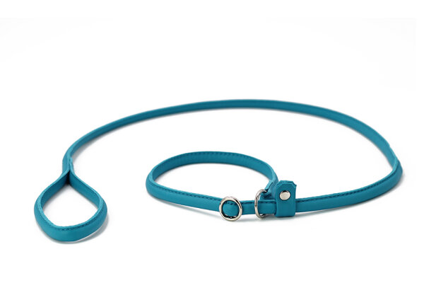 Retriever Hundeleine petrol