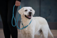 Retriever Hundeleine petrol