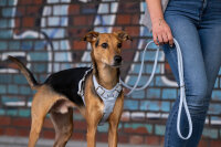 Lederleine rundgenäht ice blue 2m - 6mm