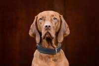 Halsband Klassik Premium braun-dunkelbraun