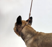 Showleine mit Perlen stufenlos verstellbar