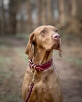 Halsband Klassik Soft