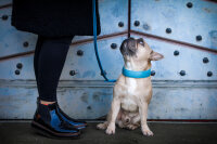 Halsband Mono Pop geplostert