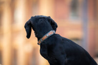 Halsband Mini Jägermeister