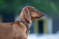 Halsband Zugstopp Wilde Liebe