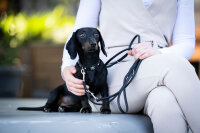 Lederhalsband Mini Totenkopf