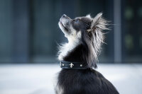 Hundehalsband Mini Fleur