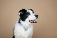 Halsband rundgenäht ice blue