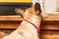 Lederhalsband rundgenäht lipstick