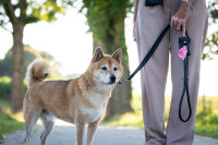 Poo-Bag Klassik schwarz