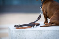 Lederleine Klassik Premium braun -  cognac