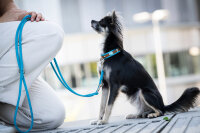 Rundgenähte Hundeleine petrol