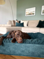 Hundebett Buddelbox Snooze