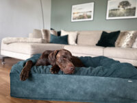 Hundebett Buddelbox Snooze