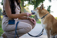 Lederhalsband rundgenäht jeans