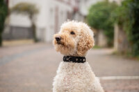 Halsband Diamond 50cm - 35mm schwarz - silber