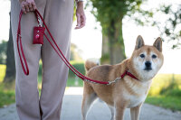 Rundgenähtes Lederhalsband rot
