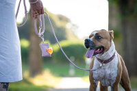 Lederleine rundgenäht rosa