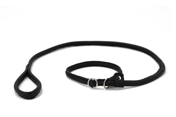 Retriever Leine schwarz