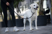 Retriever Leine schwarz