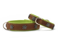 Halsband Edelweiss