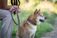 Hundeleine rundgenäht  Roségold