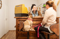 Hundeleine aus weichem Leder rundgenäht lipstick