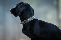 Hundehalsband Mini Wild Army