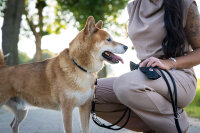Lederhalsband rundgenäht schwarz