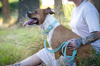 Halsband Spring Break