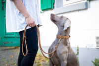 Halsband Old English mit Stein