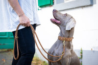 Lederleine rundgenäht Old English