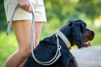 Lederleine rundgenäht Old English