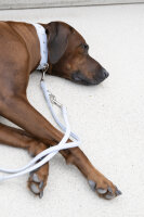 Halsband Sunrise ice blue - silber 50cm - 35mm