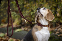 Halsband Klassik Exklusiv Winter Edition