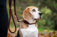 Lederleine rundgenäht burgundy