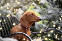 Halsband Herzilein Winter Edition