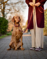 Halsband Herzilein Winter Edition 35cm - 24mm-burgundy - chocolate