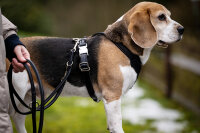 Leder-Hundegeschirr Herzilein Winter Edition Burgundy