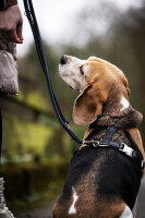 Leder-Hundegeschirr ice blue M