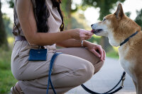 Leckerli-Beutel Klassik jeans