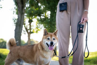 Leckerli-Beutel Klassik schwarz