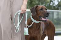 Poo-Bag Klassik mint