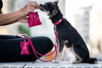 Poo-Bag Klassik lipstick