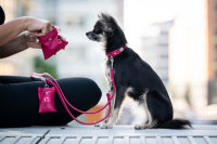 Lederleine rundgenäht lipstick 2m - 4mm lipstick -...